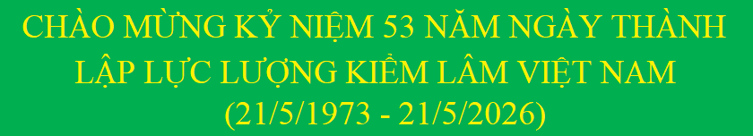 image advertisement